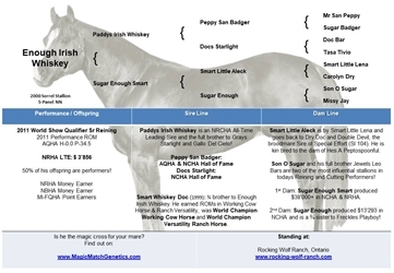 Enough Irish Whiskey - Pedigree Chart