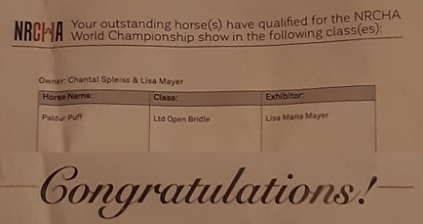 NRCHA World Show Qualification 2021