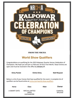 NRCHA World Show Qualification 2021