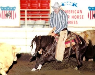 Haidabilly at the NCHA Futurity 1993. He placed in the Top 5.